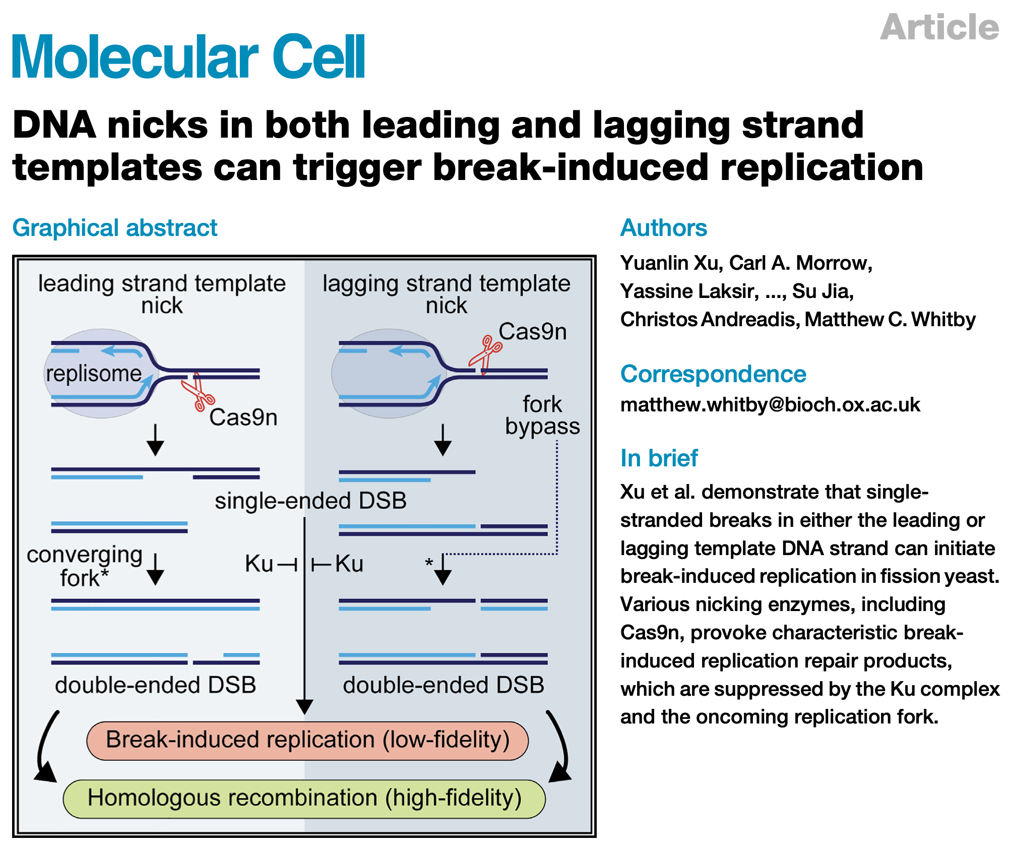 Screenshot 2024-11-26 at 17.18.47